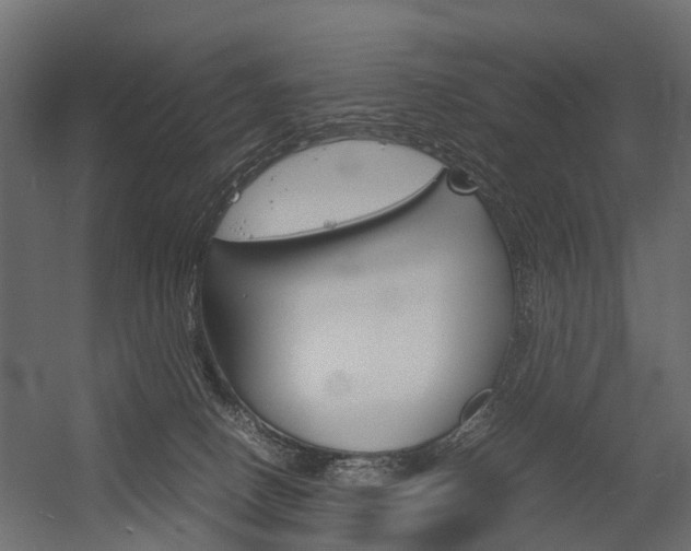 X0000054370082200507290842