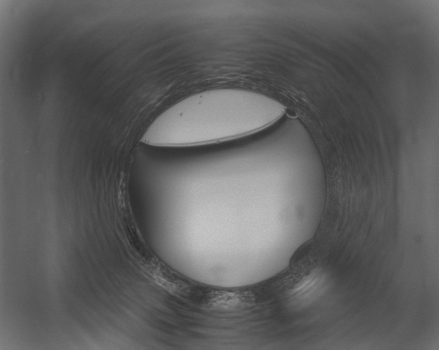 X0000054370083200507290842