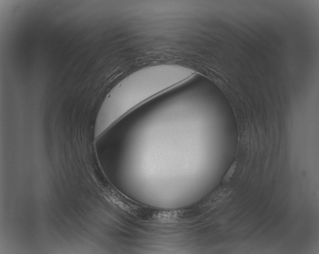 X0000054370084200507290842