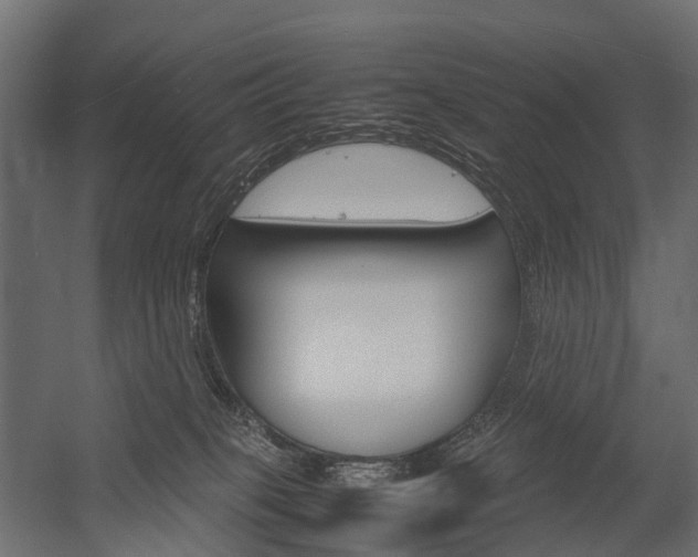 X0000054370085200507290842