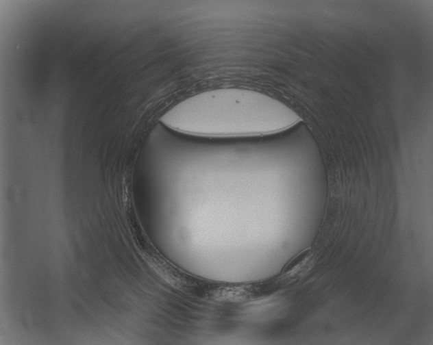 X0000054370086200507290842