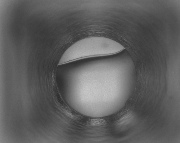 X0000054370087200507290842