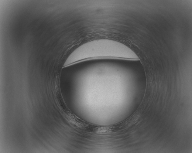 X0000054370088200507290842