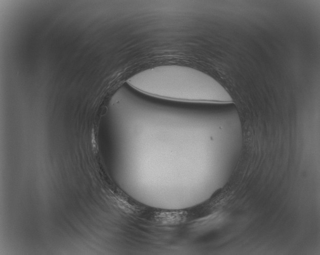 X0000054370089200507290842