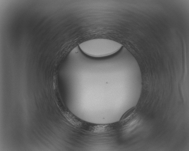 X0000054370090200507290842