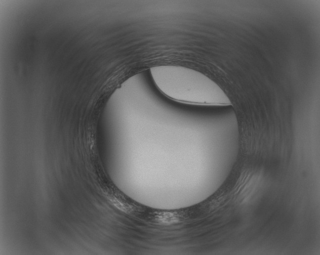 X0000054370091200507290842