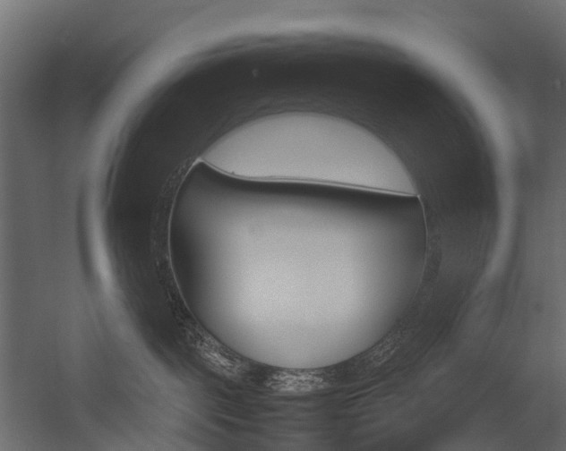 X0000054370093200507290842