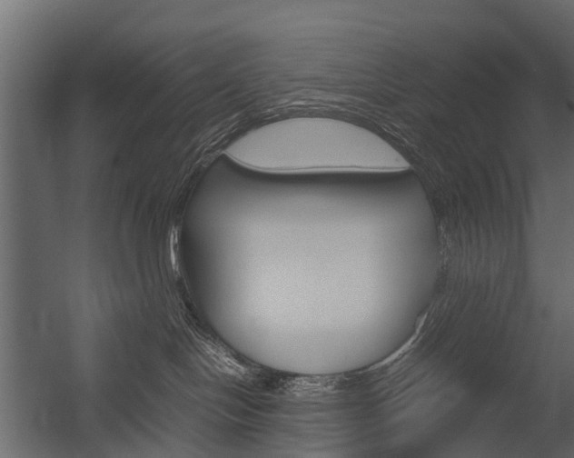 X0000054370094200507290842