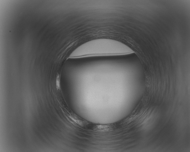 X0000054370095200507290842