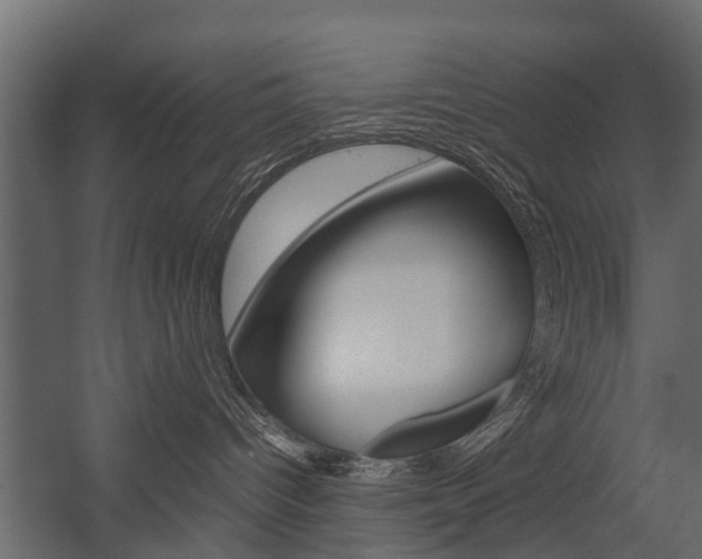 X0000054370096200507290842