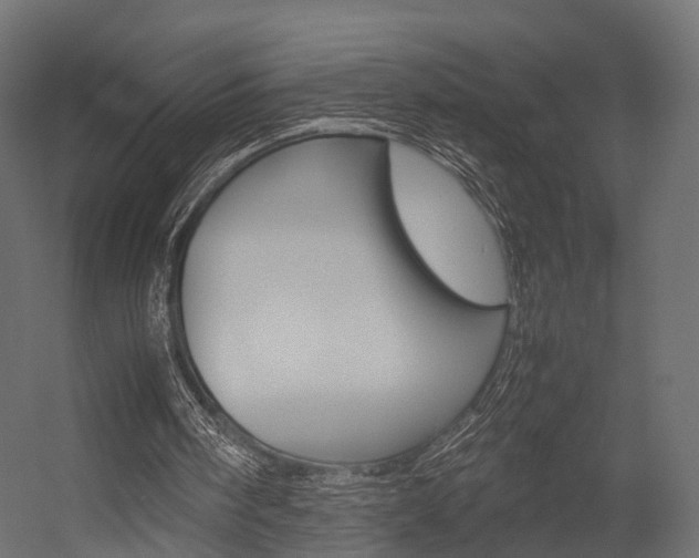 X0000054370098200507290841