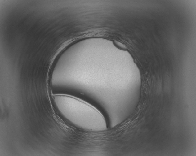 X0000054370100200507290841