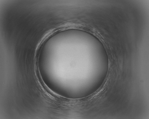 X0000054370101200507290841