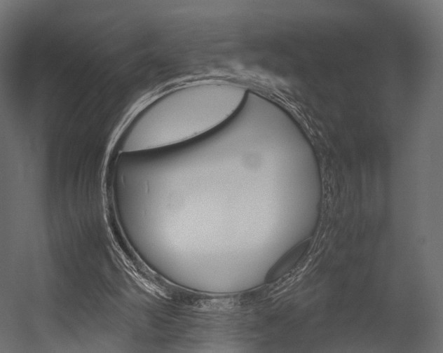 X0000054370102200507290841