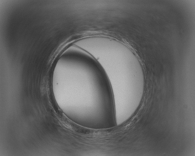 X0000054370103200507290841