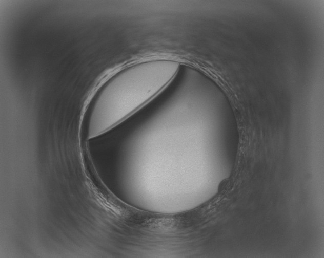 X0000054370104200507290841