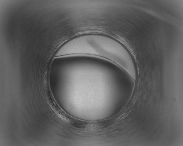 X0000054370105200507290841