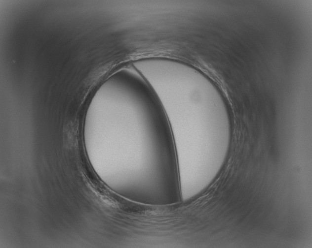 X0000054370107200507290841