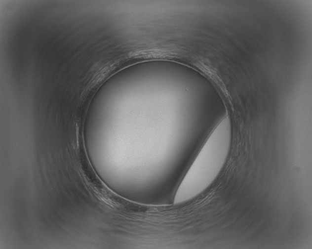 X0000054370109200507290841