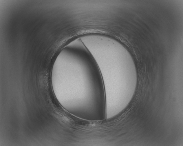 X0000054370111200507290841