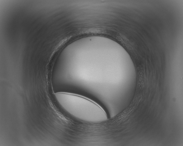 X0000054370112200507290841