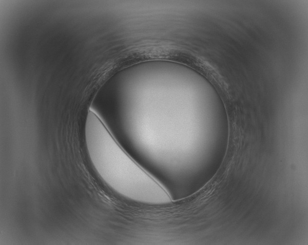 X0000054370113200507290841