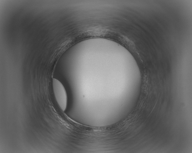 X0000054370114200507290841