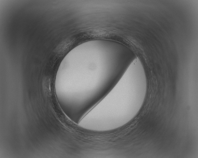 X0000054370115200507290841