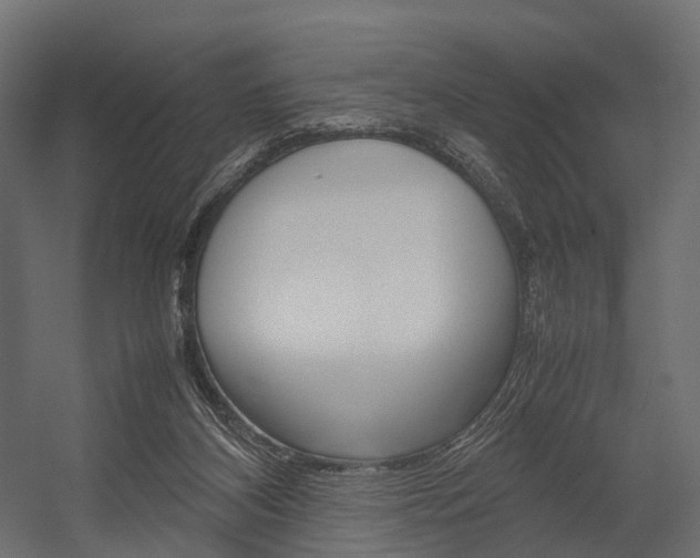 X0000054370116200507290841