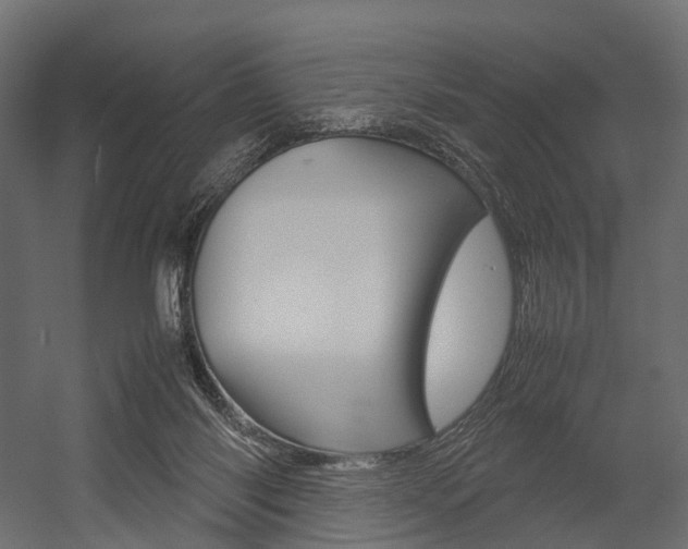 X0000054370118200507290841