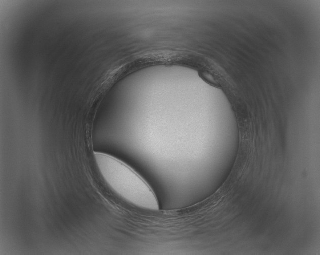 X0000054370119200507290841