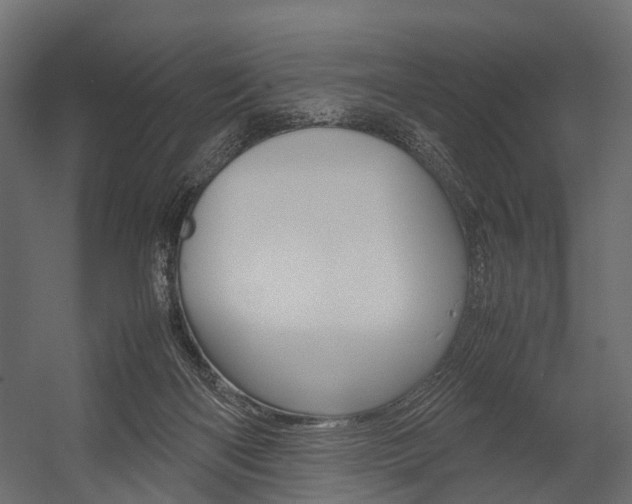 X0000054370122200507290841