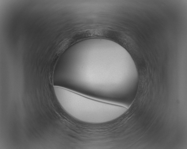 X0000054370123200507290841