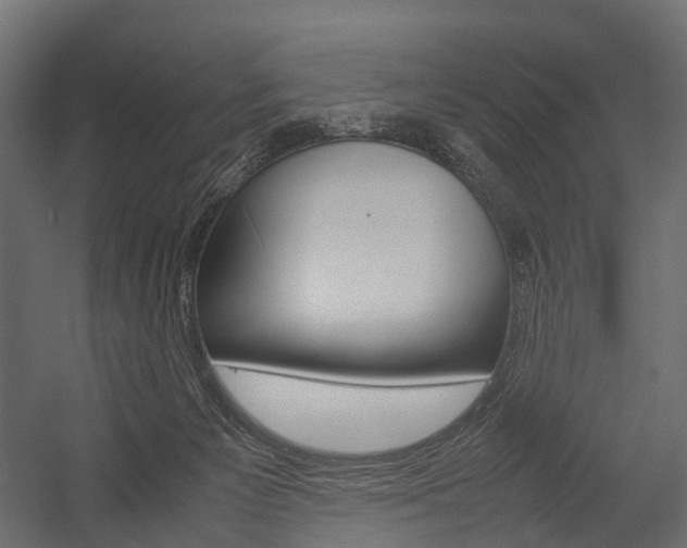 X0000054370125200507290841