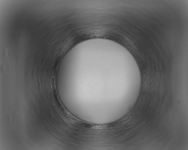 X0000054370126200507290841