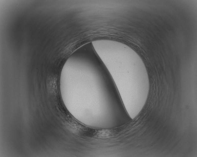 X0000054370127200507290841