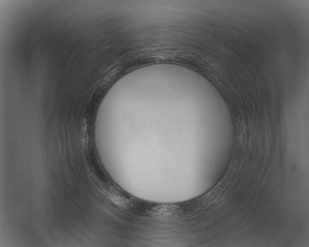 X0000054370128200507290841