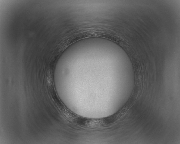 X0000054370129200507290841