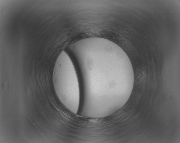 X0000054370130200507290841