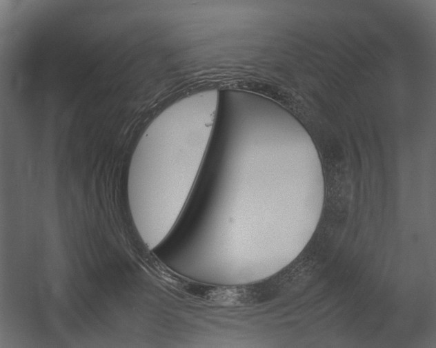 X0000054370131200507290841