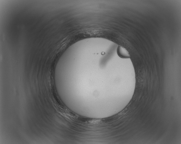 X0000054370132200507290841