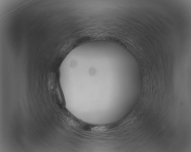 X0000054370133200507290841