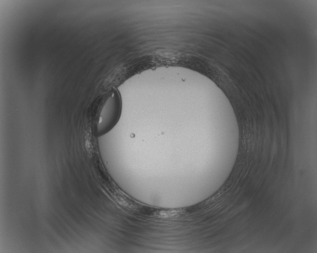 X0000054370134200507290841