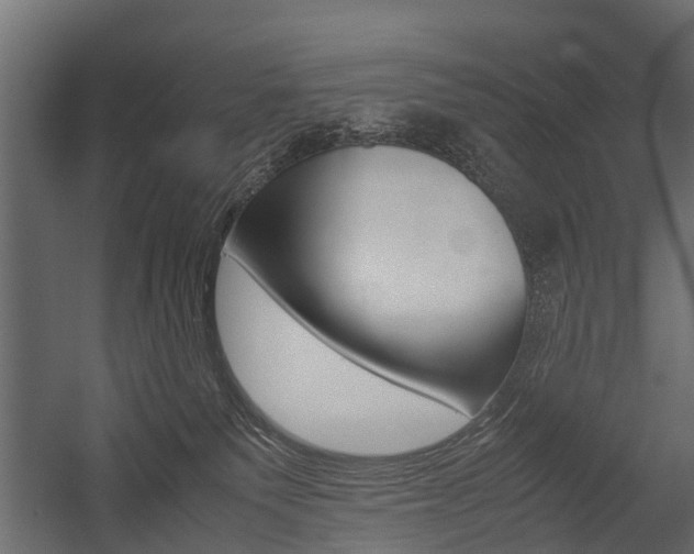 X0000054370135200507290841