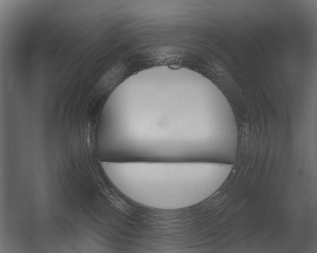 X0000054370138200507290841