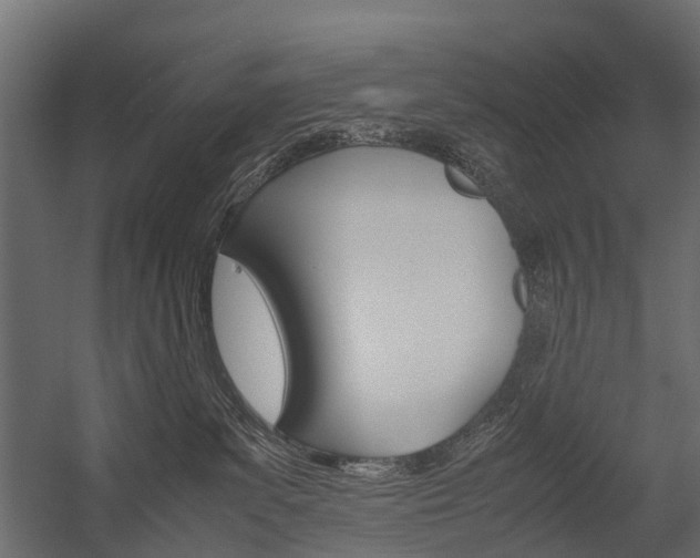 X0000054370139200507290841