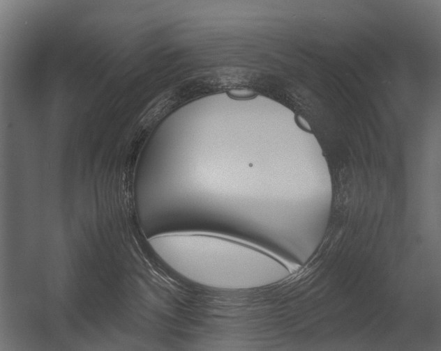 X0000054370140200507290841