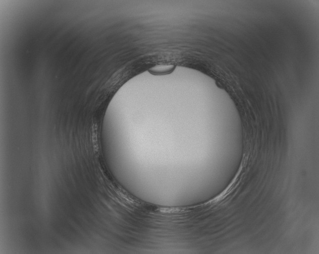 X0000054370144200507290840