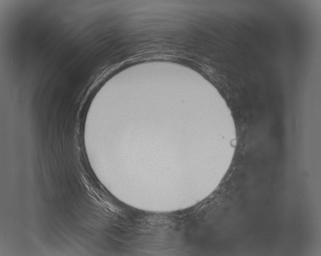 X0000054370146200507290840