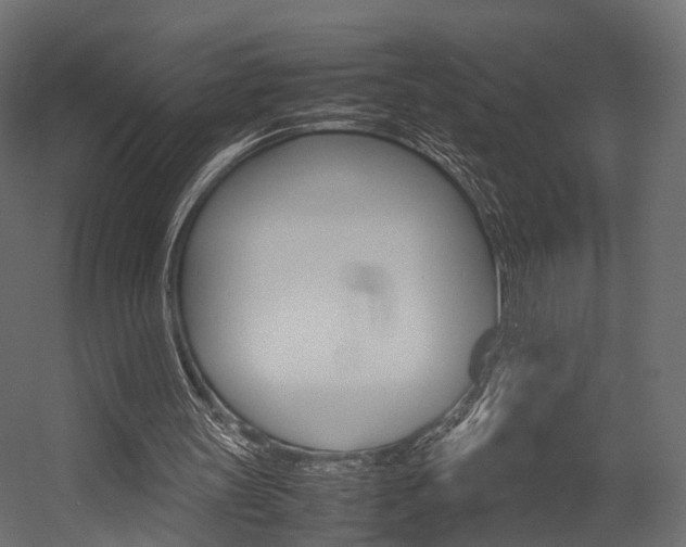 X0000054370147200507290840